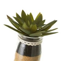 Wadigo lot de 4 cactus en plastique