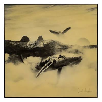 Baly tableau baleine noir sur fond jaune 80x80cm