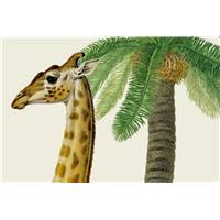 Natural History Museum illustration encadrée girafe