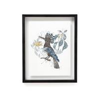 Bahu affiche encadré motif oiseau