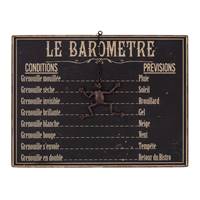 Baromètre Grenouille 25 x 33 cm
