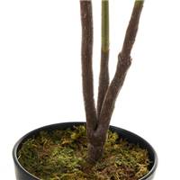 Exotica ficus artificiel en pot 3 branches