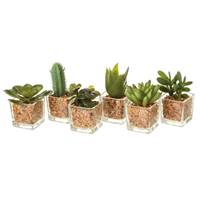 Wadigo lot de 6 petits cactus en plastique