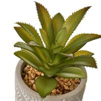 Wadi lot de 3 cactus artificiels