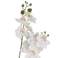 Flow fausse plante orchidée blanche