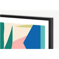 Graphic Botanical lot de Illustrations