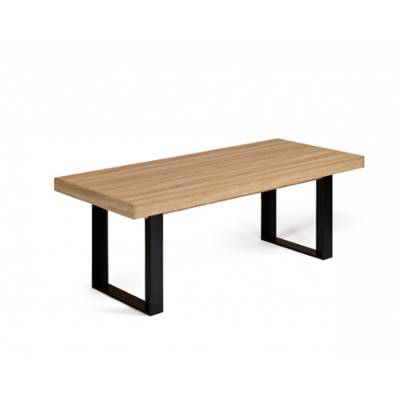 Eiko table à manger extensible 200-300 bois et noir