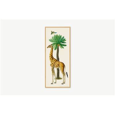 Natural History Museum illustration encadrée girafe