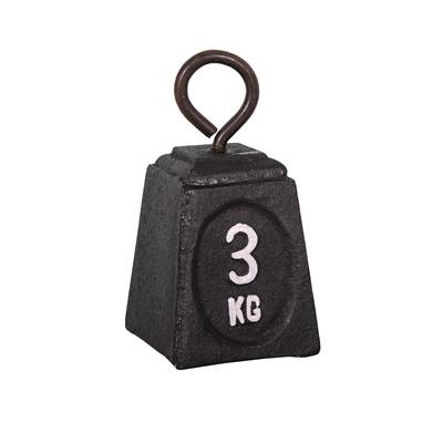 Poids cale porte "3 KG"