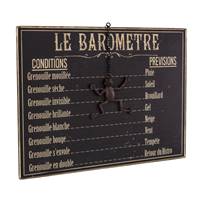 Baromètre Grenouille 25 x 33 cm