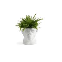 Goking cache-pot tête de singe blanc