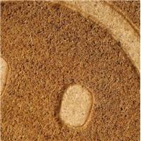 Ballas Smile II paillasson fibre de coco 60x40