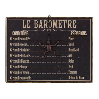 Baromètre Grenouille 25 x 33 cm